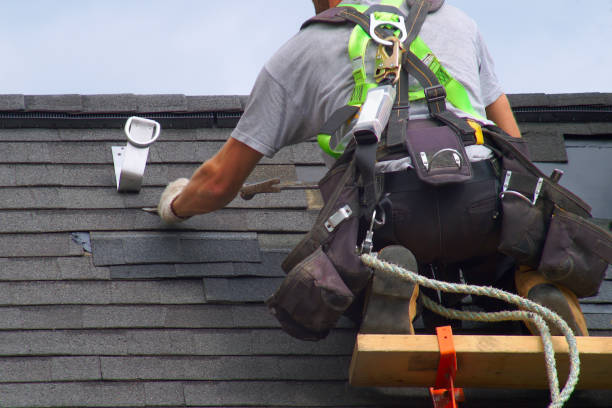 Roof Gutter Cleaning